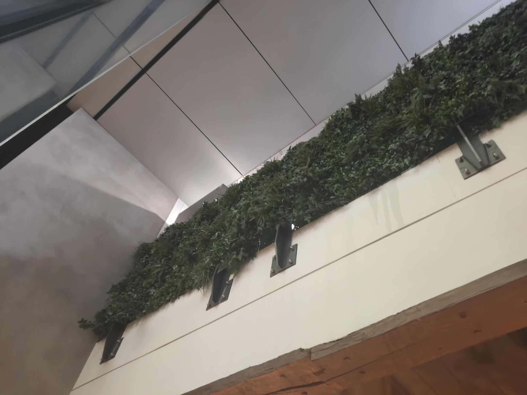 Before: steel brackets and planting along a ledge in a finished restaurant interior, before the shelving was installed